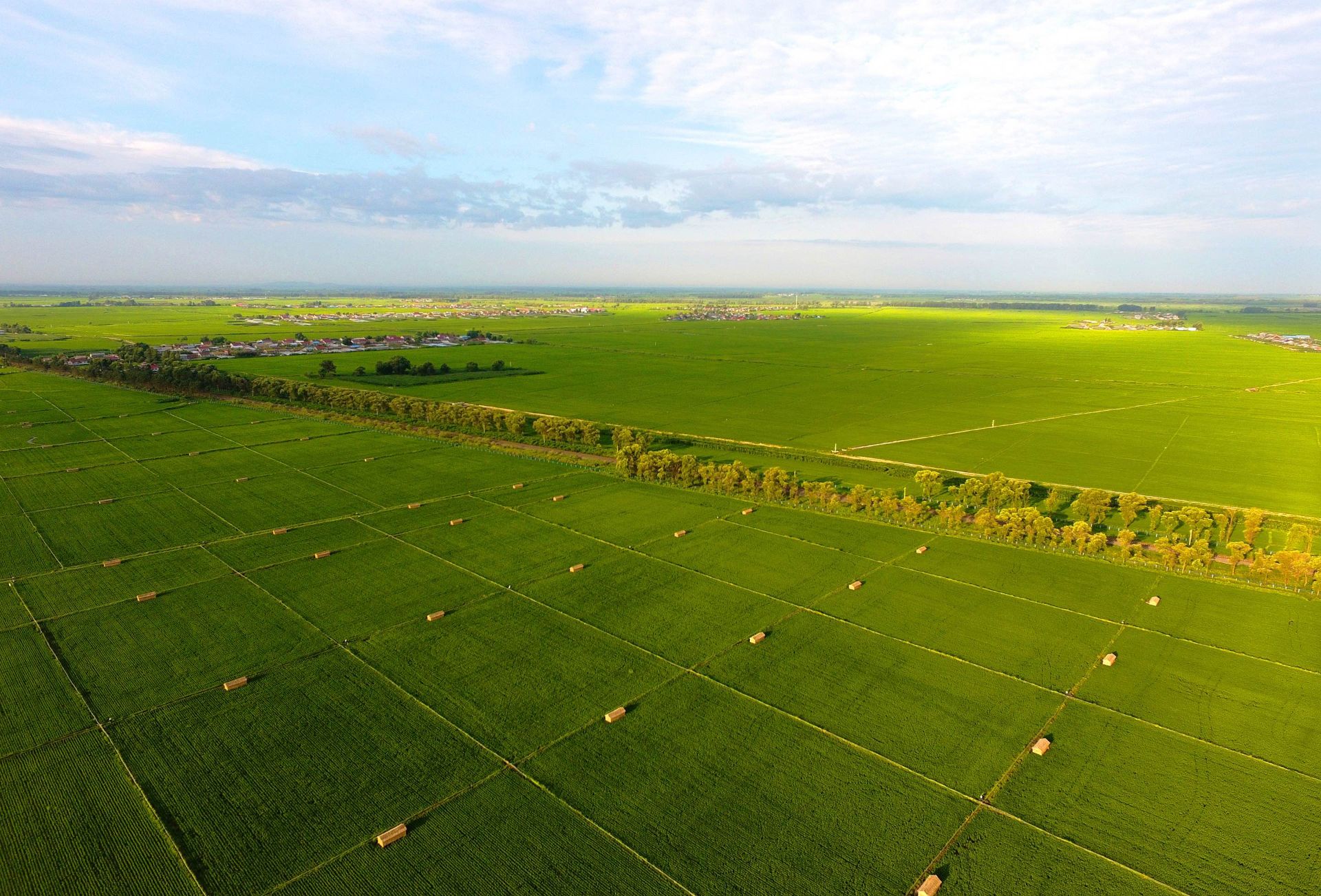 Aligning with high international standards, Qiaofu Courtyard Agriculture has been awarded the EU Organic Certification under Regulation (EU) 2018/848.-134-1