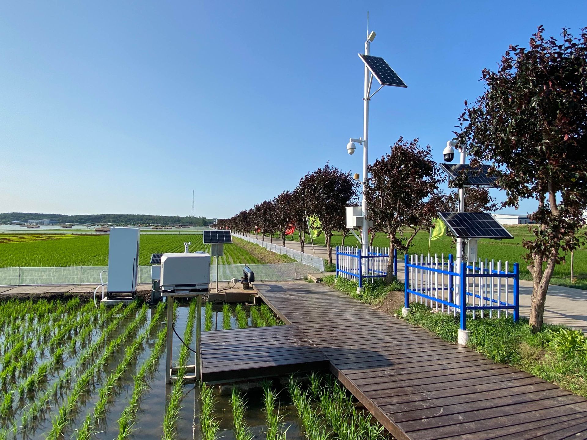 Aligning with high international standards, Qiaofu Courtyard Agriculture has been awarded the EU Organic Certification under Regulation (EU) 2018/848.-134-4